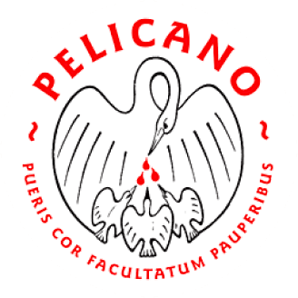 Logo Pelicano